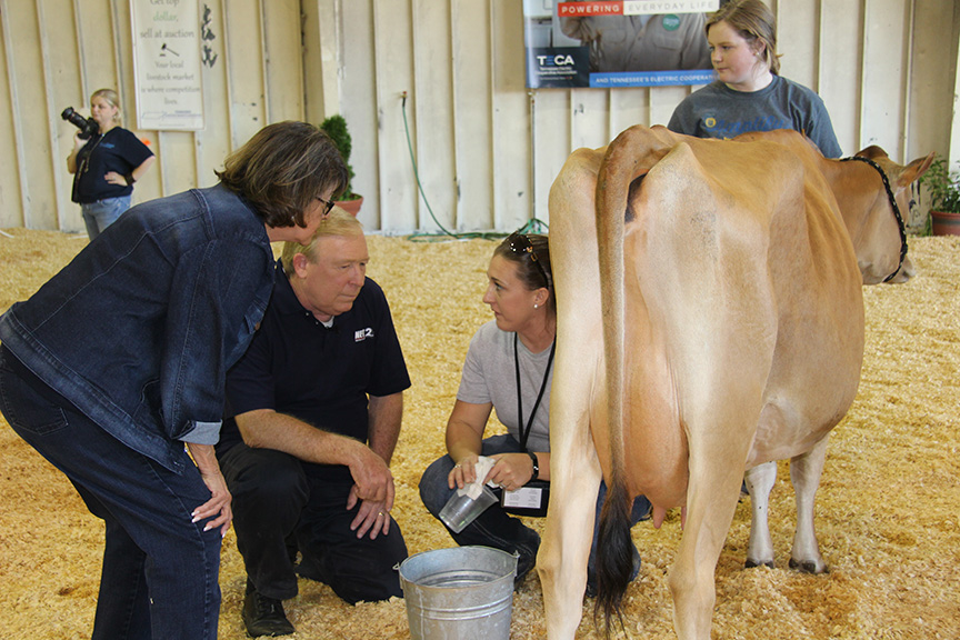 Celebrity Milking contest competitors Channel 2 Davis Nolan and Senator Delores Gresham