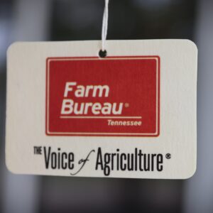 Air Freshener New Car