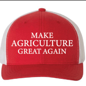 MAGA Cap