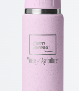 Rambler Bottle Cherry Blossom 26